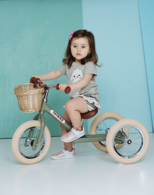 Try Bike Driewieler