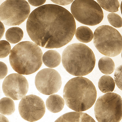 Coins white