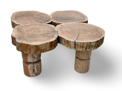 Salontafel naturel uniek