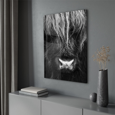 Walljar acrylglas schilderij - Close up Ox