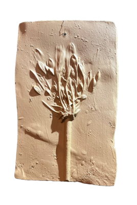 Wanddecoratie botanisch