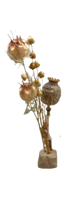 Droogbloem in klei M