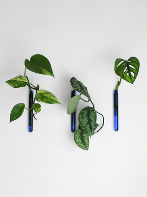 Muurbloempjes - set van 3