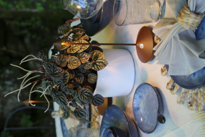 Zafferano oplaadbare tafellamp Pina