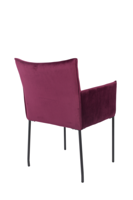 Stoel Dion (set van 2)
