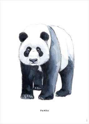 Poster Bintje Panda