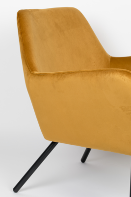 Fauteuil Bon velvet