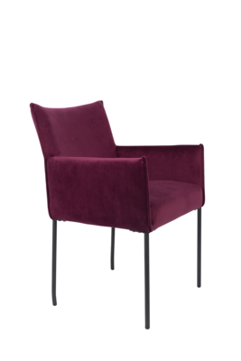 Stoel Dion (set van 2)