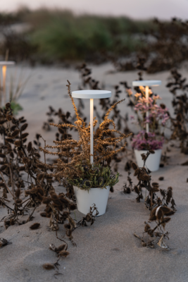 Zafferano oplaadbare tafellamp Reverso