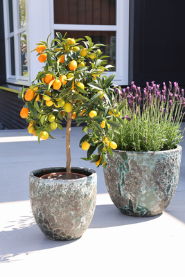 Plantenpot Laki relic jade