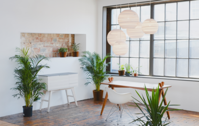 Graypants hanglamp Disc 24