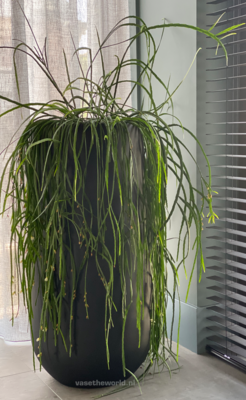 Plantenpot Idaho black