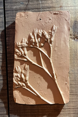 Wanddecoratie botanisch