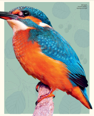 Terra Lannoo boek Het dikke boek van alle bijzondere Dieren