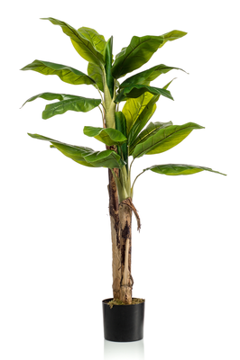 Kunst Bananenplant