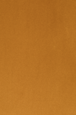 Fauteuil Bon velvet