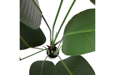 Kunstplant Strelitzia
