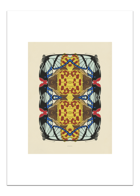 Print Precious Beauty