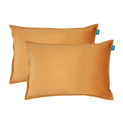 Sierkussen Fluweel 40x60 cm (set van 2)