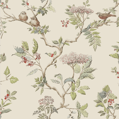 vliesbehang laura ashley elderwood natural