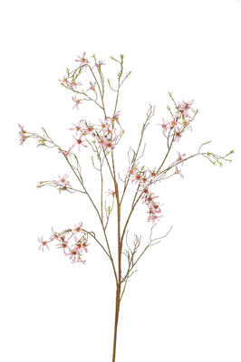 Kunsttak Fosysthia - set van 2