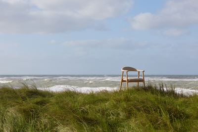 Eetkamerstoel Joren - set van 2