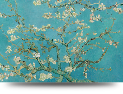 Canvas schilderij Amandelbloesem van Van Gogh