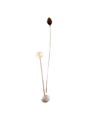 Droogbloem in klei XS