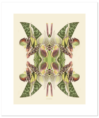 Print Tiger Lily Magic