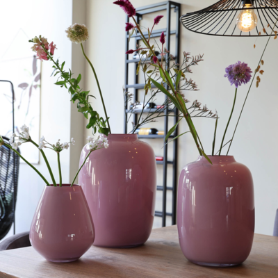 Vaas Artic light pink