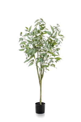Eucalyptus Globulus kunstplant