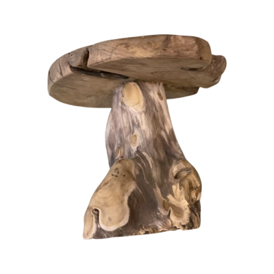 Bijzettafel Wortelhout groo