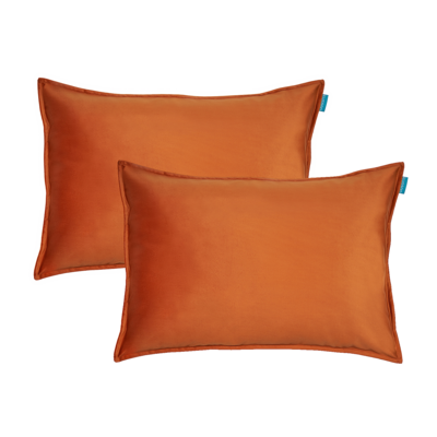 Sierkussen Fluweel 40x60 cm (set van 2)