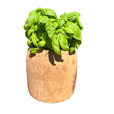 Oude houten pot uniek item