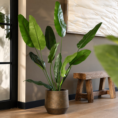 Krabi dark rustic