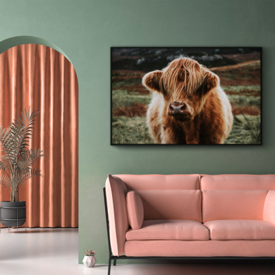 Walljar plexiglas schilderij - Schotse Hooglander