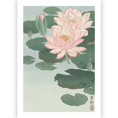 Poster Ohara Koson - Water Lily 