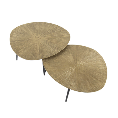 Salontafel Ra (set van 2)
