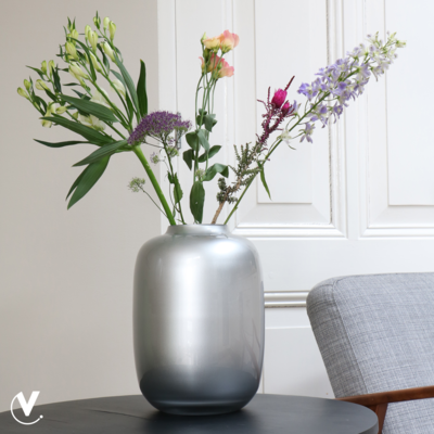 Vaas Artic silver