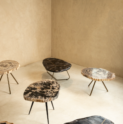 Salontafel Versteend Hout set van 3