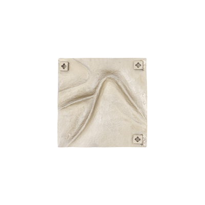 Wanddecoratie Avia Goud